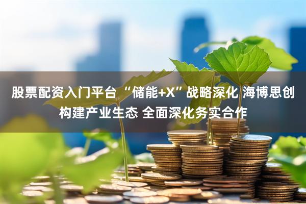 股票配资入门平台 “储能+X”战略深化 海博思创构建产业生态 全面深化务实合作