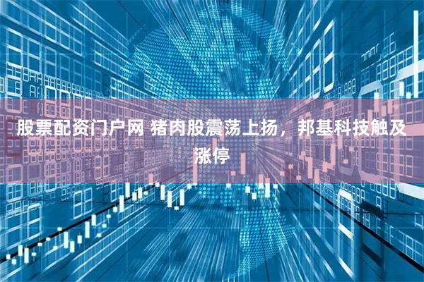 股票配资门户网 猪肉股震荡上扬，邦基科技触及涨停