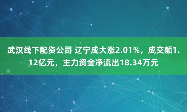 武汉线下配资公司 辽宁成大涨2.01%，成交额1.12亿元，主力资金净流出18.34万元